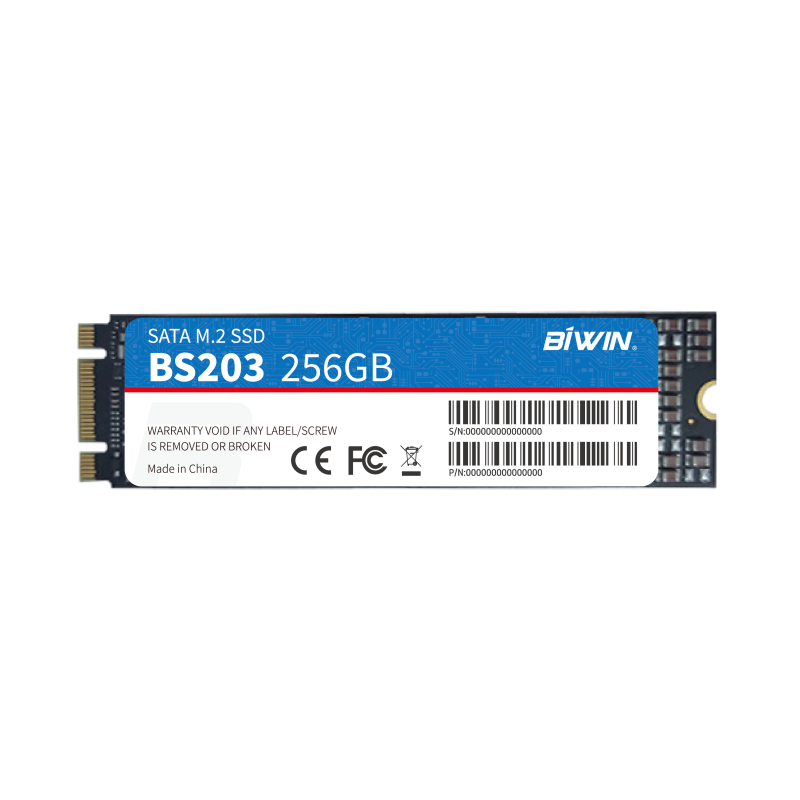 M.2 SATA SSD（图1）